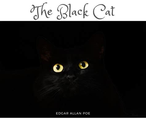 The Black Cat by Edgar Allan Poe - Weird Little Worlds Press