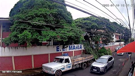 podando árvore da escola Estadual Maria Conceição Barbosa de Souza