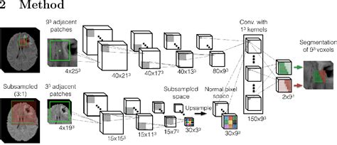 Pdf Multi Scale 3d Convolutional Neural Networks For Lesion Hot Sex Picture