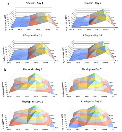 Phenotype Assay For Rod Rhodopsin And Cone Opsin Markers Of HRPCs