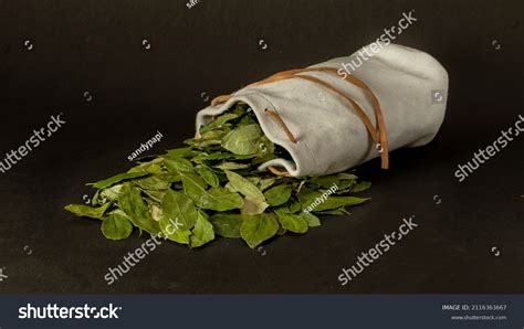 1,623 Coca culture Images, Stock Photos & Vectors | Shutterstock