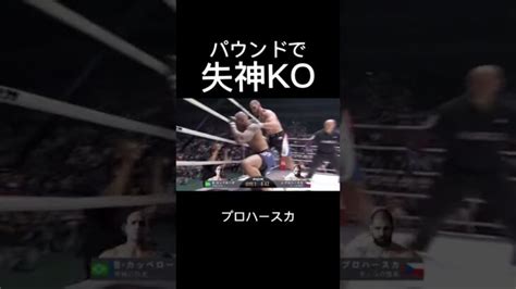 パウンドで失神させるプロハースカrizin 切り抜き │ 格闘家 Youtebe動画リンクまとめ