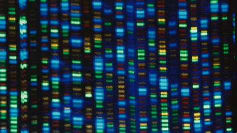 Human Genome Decoded Fully