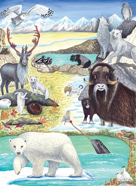 Arctic Tundra Animals Art Print Arctic Tundra Animals Arctic Tundra