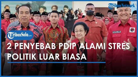 Pengamat Nilai Pdip Tengah Alami Stres Politik Luar Biasa Usai Merasa