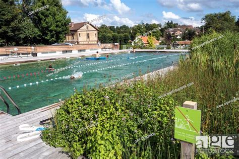 Cantonal Swimming Pool With Its Organic And Ecological Swimming Pool