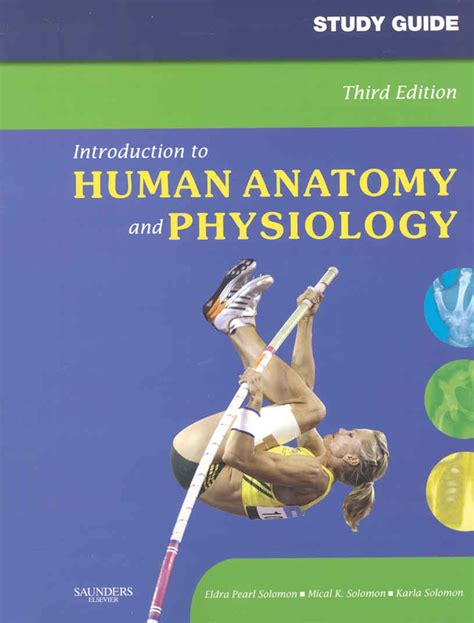 Study Guide For Introduction To Human Anatomy And Physiology