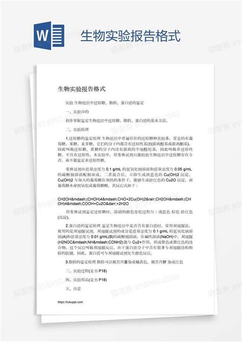 生物实验报告格式word模板免费下载编号vj2aq38m1图精灵