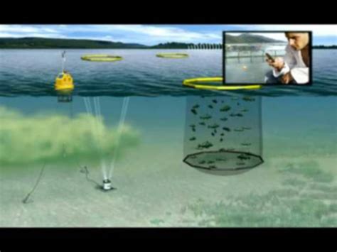 Aquaculture Unattended Water Quality Monitoring Solution YSI Videos