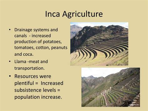 Ppt Inca Empire Powerpoint Presentation Id1905868