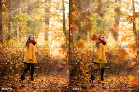 Autumn leaves overlay & Falling leaf, Photoshop overlay: Fall png over ...