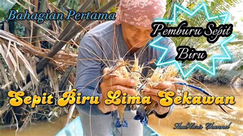 Menjenguk Bubu Udang Galah Sepit Biru Lima Sekawan Bahagian Pertama