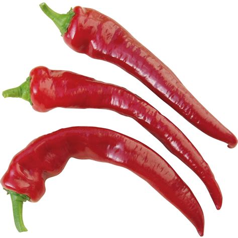 Grow By Obi Peperoni Veredelt Topf Ca Cm Capsicum Annuum Kaufen