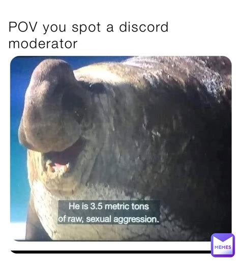 Pov You Spot A Discord Moderator Pminbox Memes