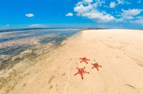 The ULTIMATE HONDA BAY PALAWAN Guide - DIY