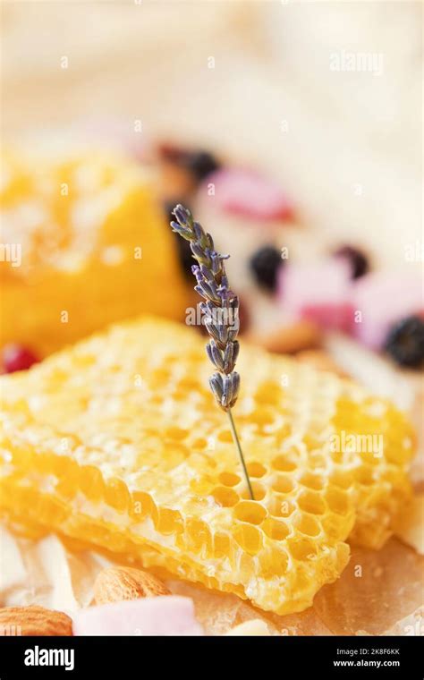 Single wildflower placed on honeycomb Stock Photo - Alamy