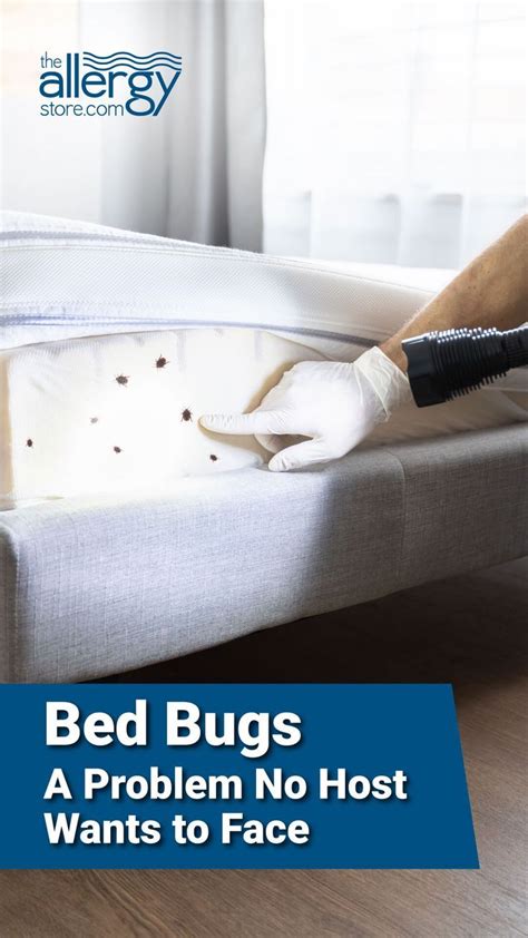 Early Signs Of Bed Bugs Artofit