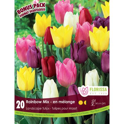 Rainbow Mix Tulip Bulbs