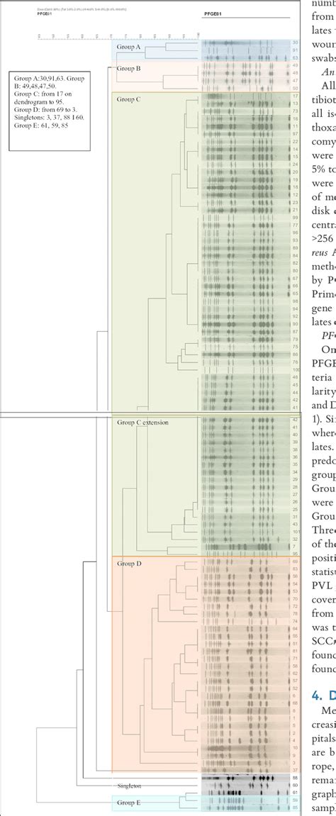 Pfge Dendrogram Of Methicillin Resistant Staphylococcus Aureus Isolates