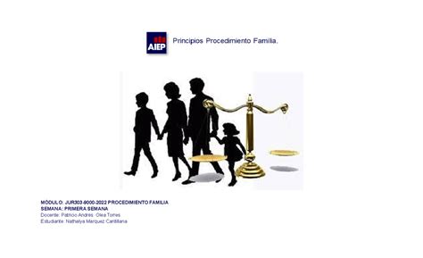 Mapa Conceptual Procedimiento Civil Familia Y Sucesorio M Dulo