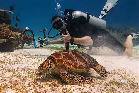 Balicasag Diving: Explore The Underwater Heaven Of Bohol, Philippines