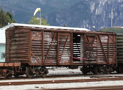 Steel Wheels Train Photos Cattle Cars