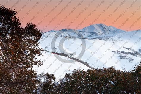 Buy pictures of Alpine National Park, photos of Alpine National Park ...