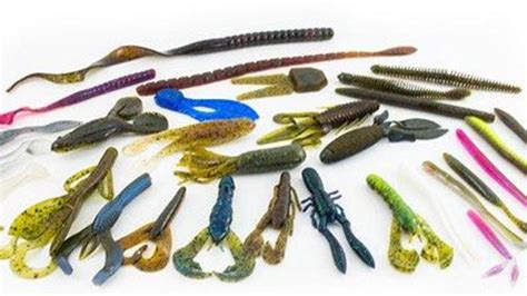 A Guide To Bass Fishing Soft Plastics