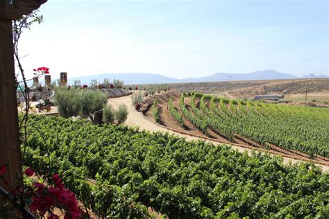 Valle de Guadalupe in Autumn - Baja Winery Tours (BWT)