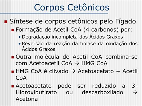 O Que S O Corpos Cetonicos