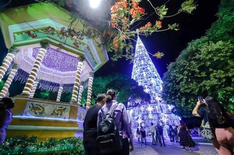 Natal iluminado Energisa transforma cidades em espetáculos de luz