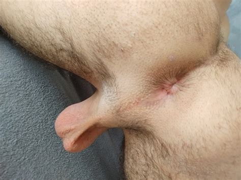 I Present You My Pussy 5 Nude Pics XHamster