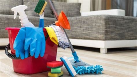 Why Should One Start House Cleaning Service Business Techbullion