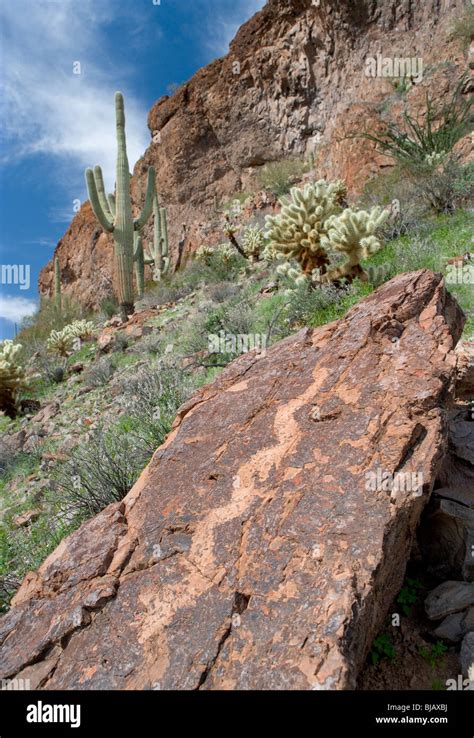 Tohono Oodham Tribe Fotografías E Imágenes De Alta Resolución Alamy