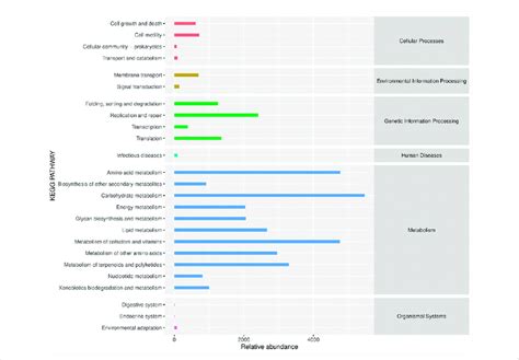 Secondary Functional Pathways And Relative Abundance Of Differential Download Scientific