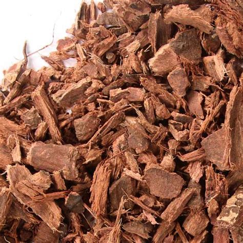 Bayberry Root Bark Information And Bayberry Root Bark As An Astringent