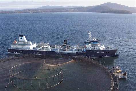 tasmanias salmon farmer huon aquaculture  pursued  brazilian