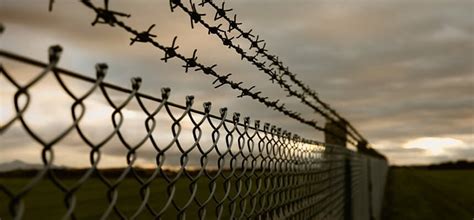 A Step-by-Step Guide to Installing a Barbed Wire Fence