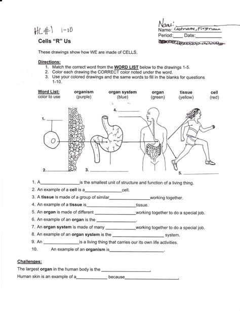 Unearthing Knowledge: The Transformative Power of Printable Worksheets