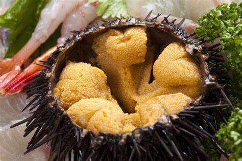 What Does Sea Urchin Taste Like