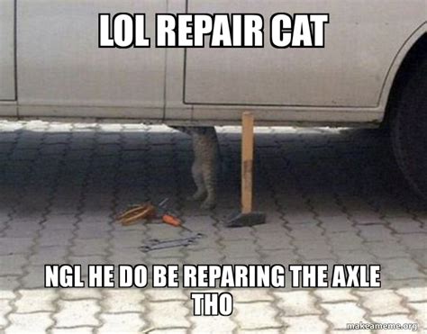 Repairs And Chores 15 Memes Prove Cats Work Hard For The House