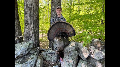 New Hampshire Turkey Hunting Delayed Double Youtube