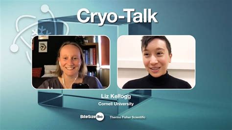 Cryo Talk Interviews Liz Kellogg Cornell University YouTube