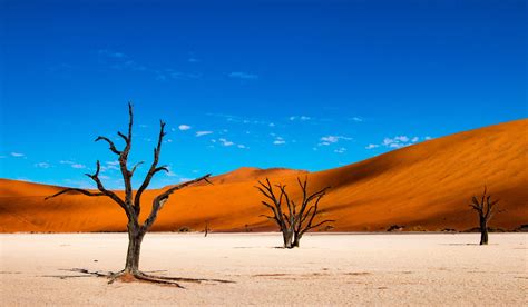 Namíbia das paisagens incríveis às aventuras no deserto