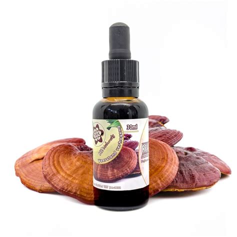 Reishi Mushroom Liquid Extract Nlnaturals Herbs Wholesale