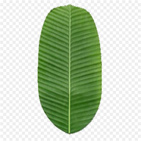 clipart banana leaf 10 free Cliparts | Download images on Clipground 2024