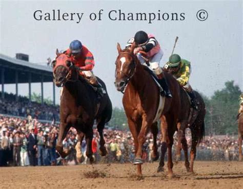 Affirmed 1978 Kentucky Derby 815 Color Gallery Of Champions