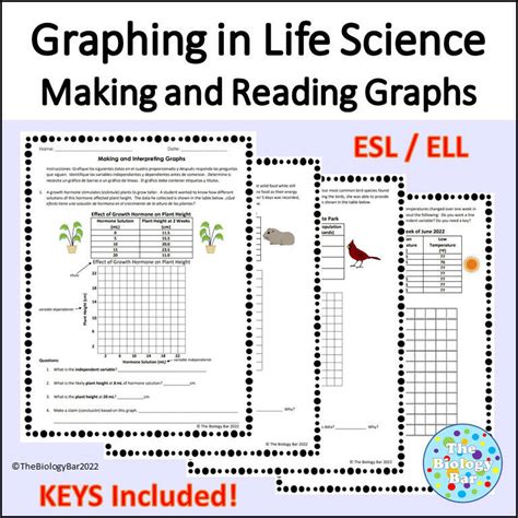 Graphing Worksheets | Graphing Worksheets for Practice - Worksheets Library