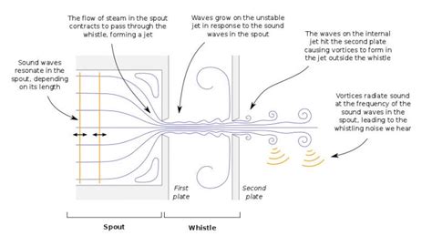 How the kettle got its whistle | University of Cambridge