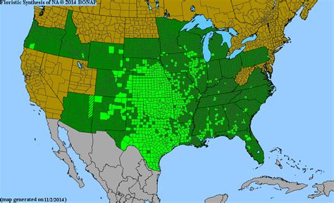 2013 BONAP North American Plant Atlas. TaxonMaps